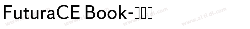 FuturaCE Book字体转换